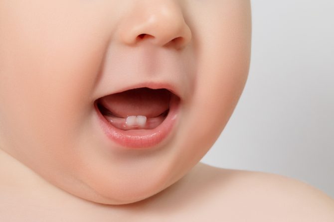 When should my child start seeing the dentist?